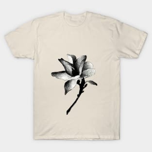 Magnolia T-Shirt